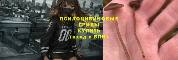 эйфоретик Алексин