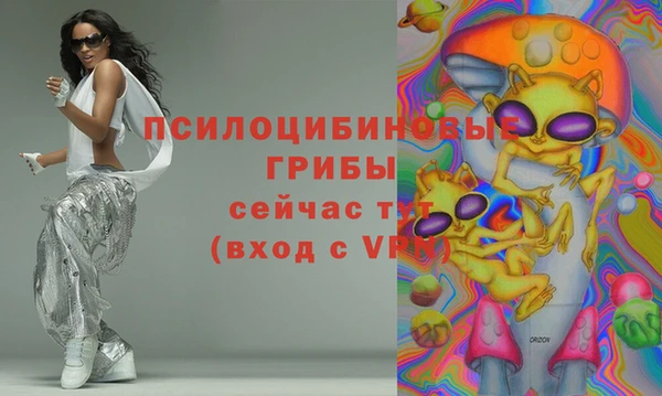 мяу мяу мука Алзамай
