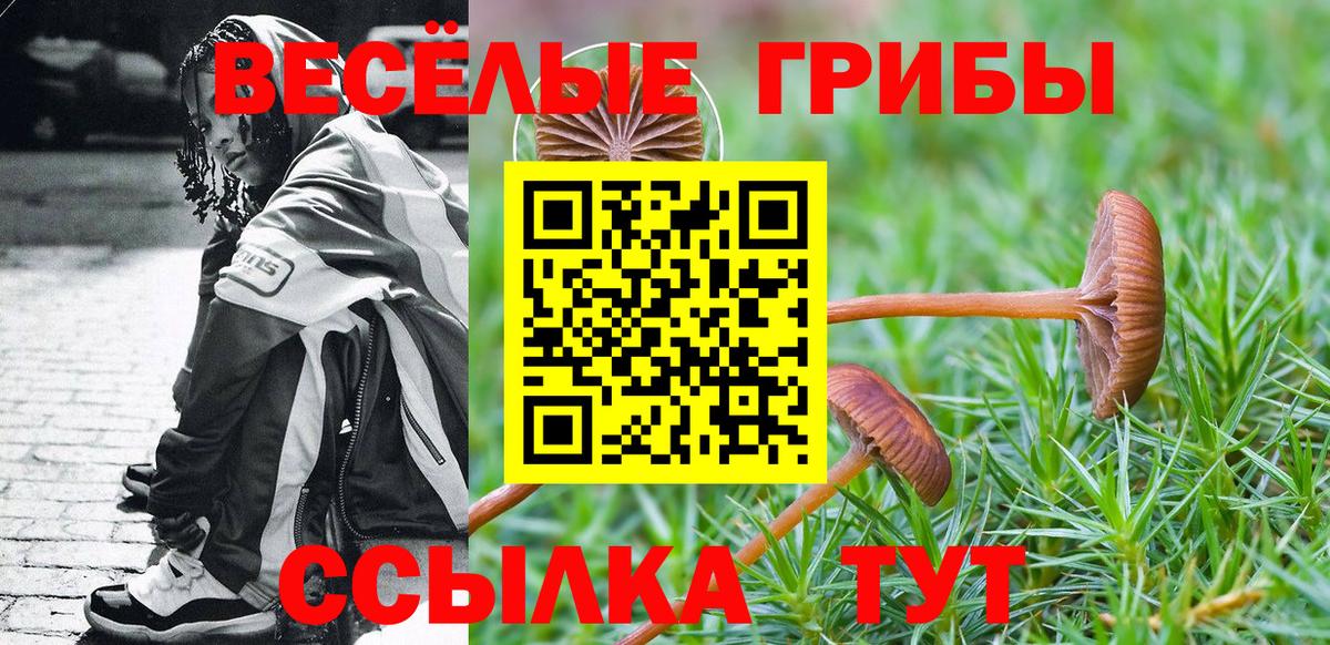 Псилоцибиновые грибы MAGIC MUSHROOMS Махачкала