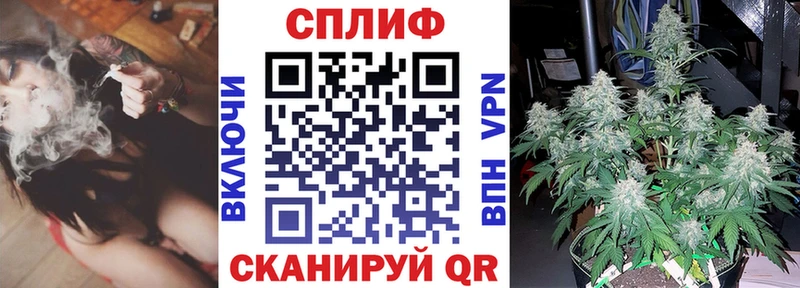 наркотики  Махачкала  Шишки марихуана MAZAR 